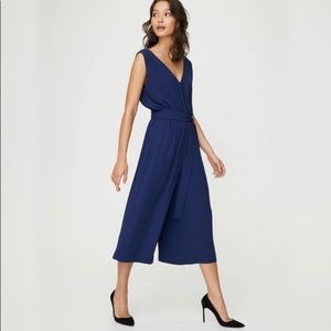 Aritzia Babaton Maximillian Jumpsuit